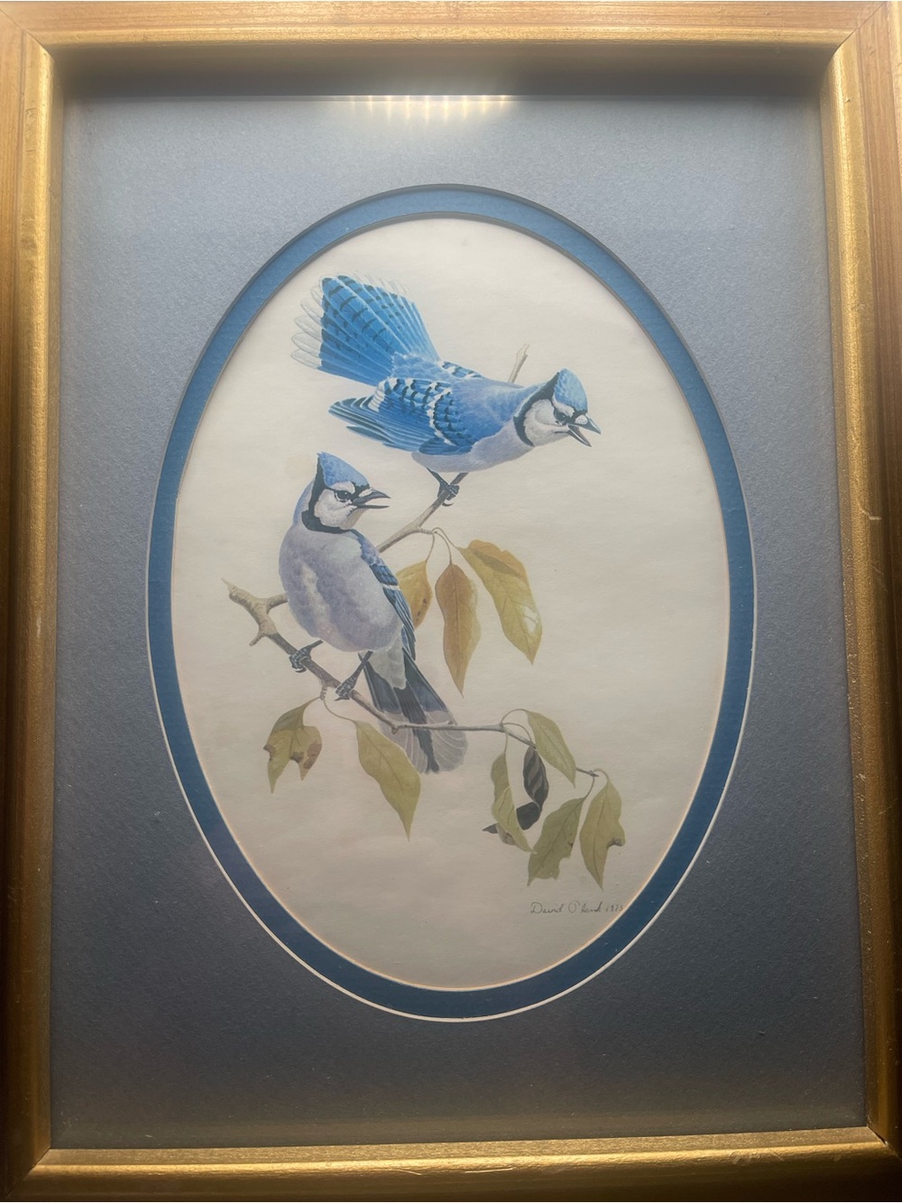 Vintage Watercolor Print By David Plank 1973 Blue Jay Art Print Retro Birds